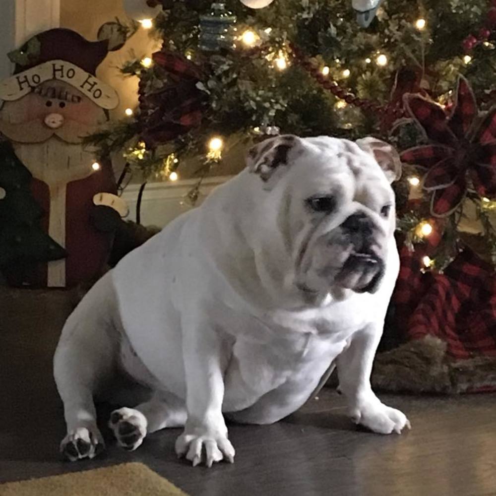 Meet your Posher, Beth